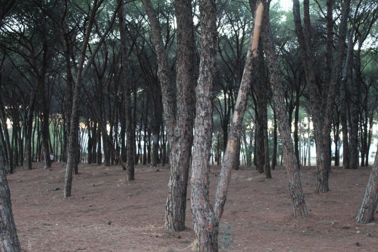 Park Hotel Le Dune Di Giovino カタンザーロ エクステリア 写真