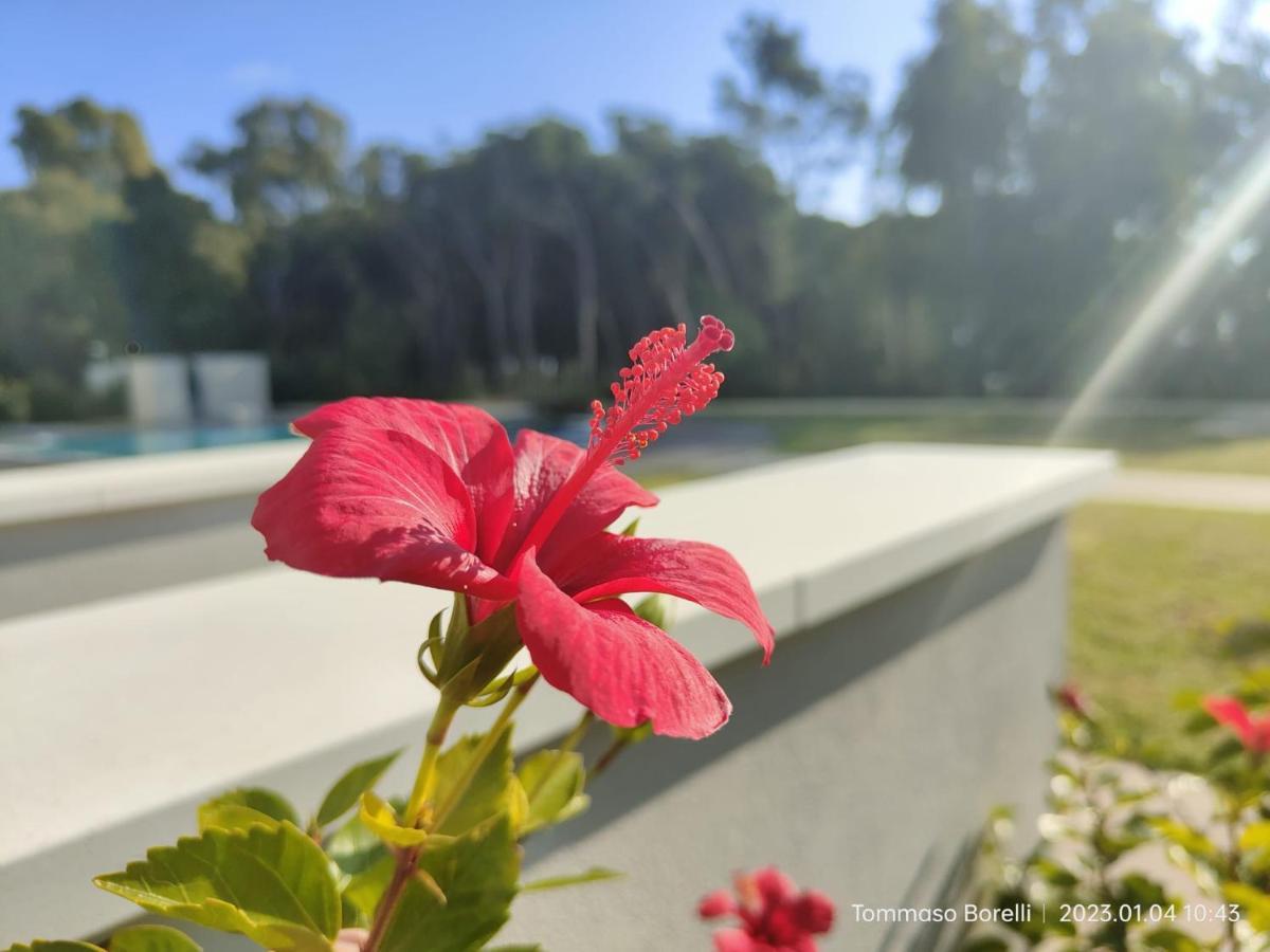 Park Hotel Le Dune Di Giovino カタンザーロ エクステリア 写真