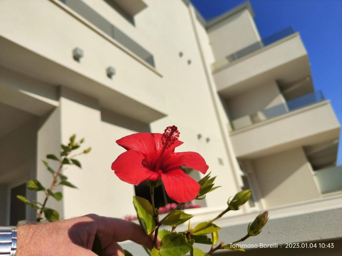 Park Hotel Le Dune Di Giovino カタンザーロ エクステリア 写真